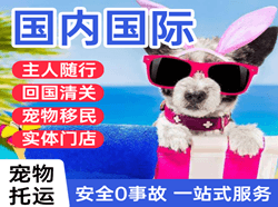 普陀山空运代理国际宠物托运 【国